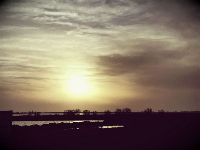 La mélodie des choses